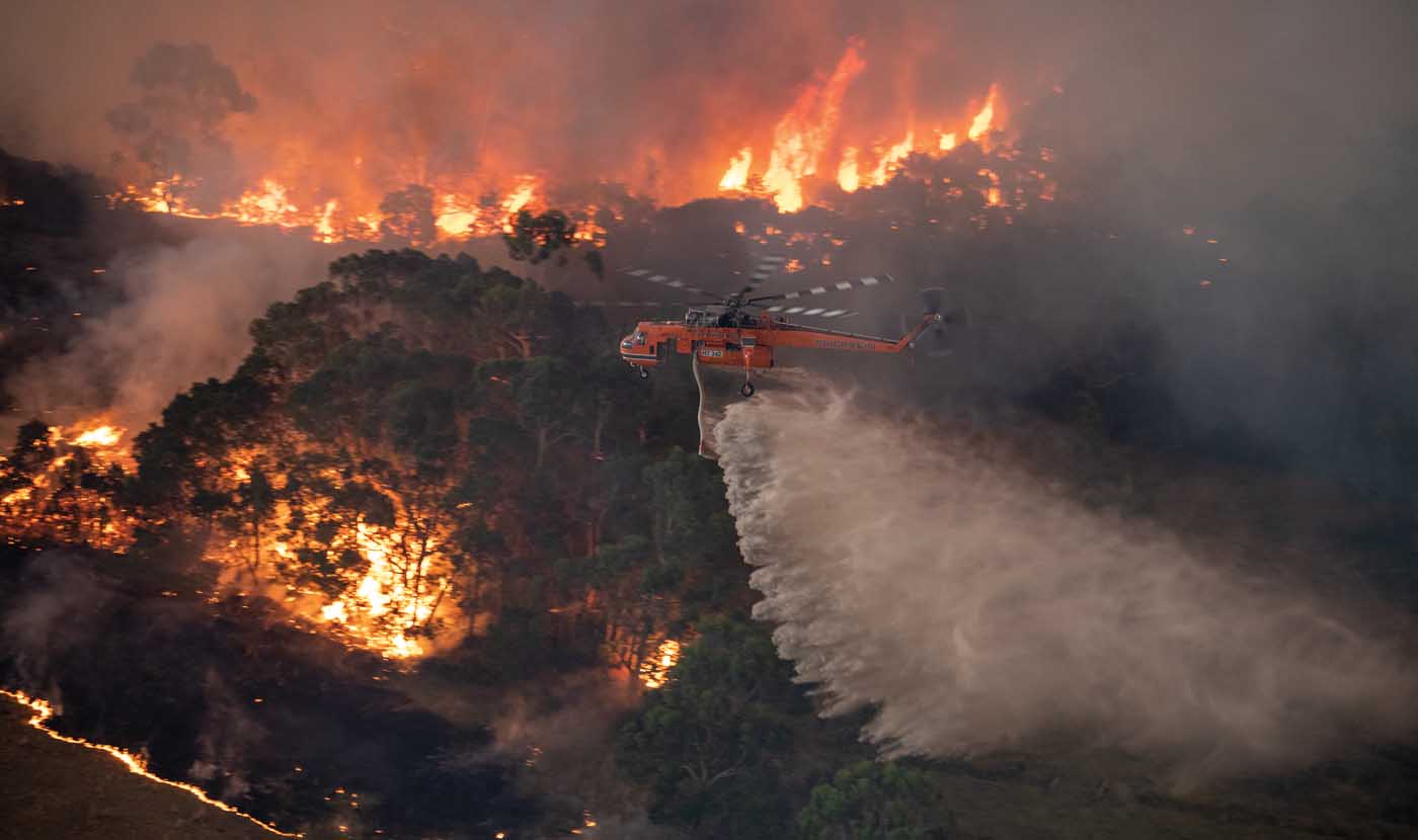 Những vụ cháy rừng quy mô lớn trong 
