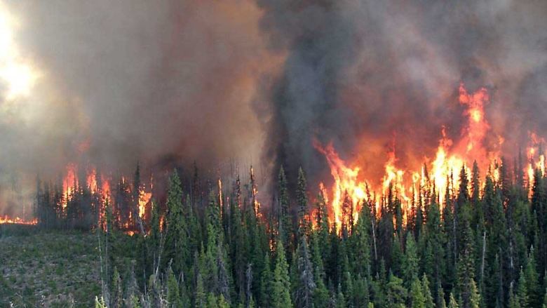 Canada ban bố tình trạng khẩn cấp vì cháy rừng tại British Columbia