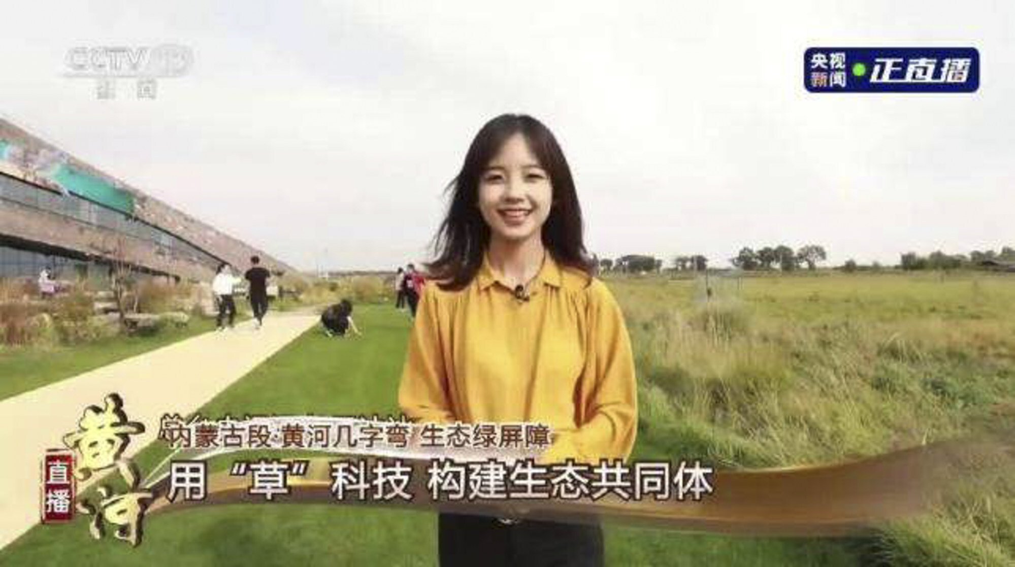 Wang trở thành biểu tượng quốc gia vào năm 2020 sau khi một video clip về việc cô đưa tin về cỏ ...
