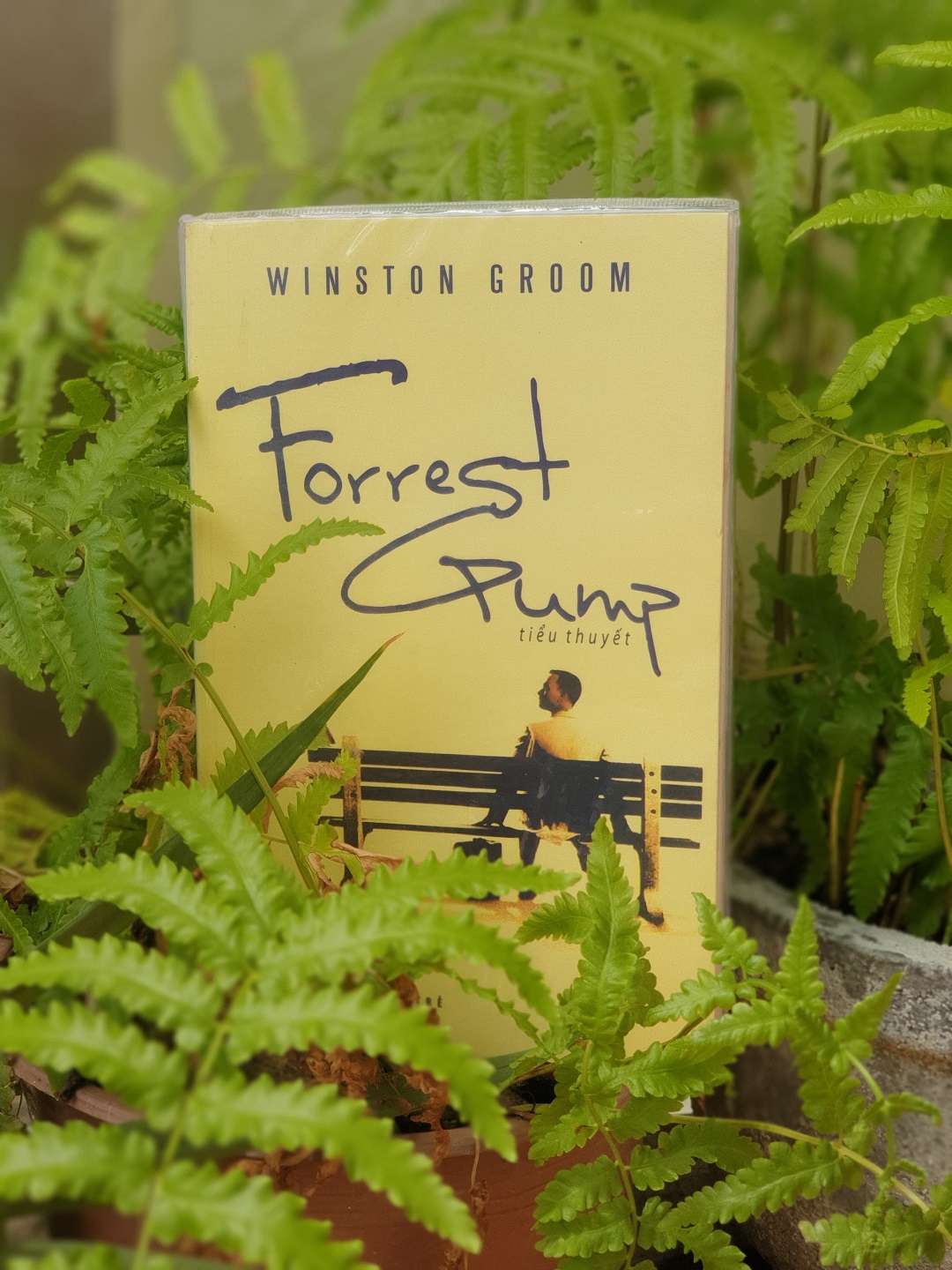 Forrest Gump- Tiểu thuyết được xuất bản và phát hành bởi Nhà Xuất Bản Trẻ vào năm 2012