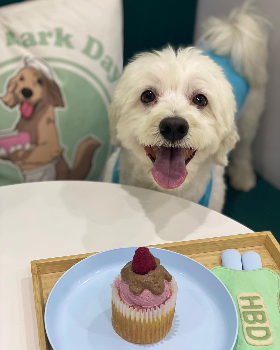 Nguồn ảnh: happybarkday_uae  