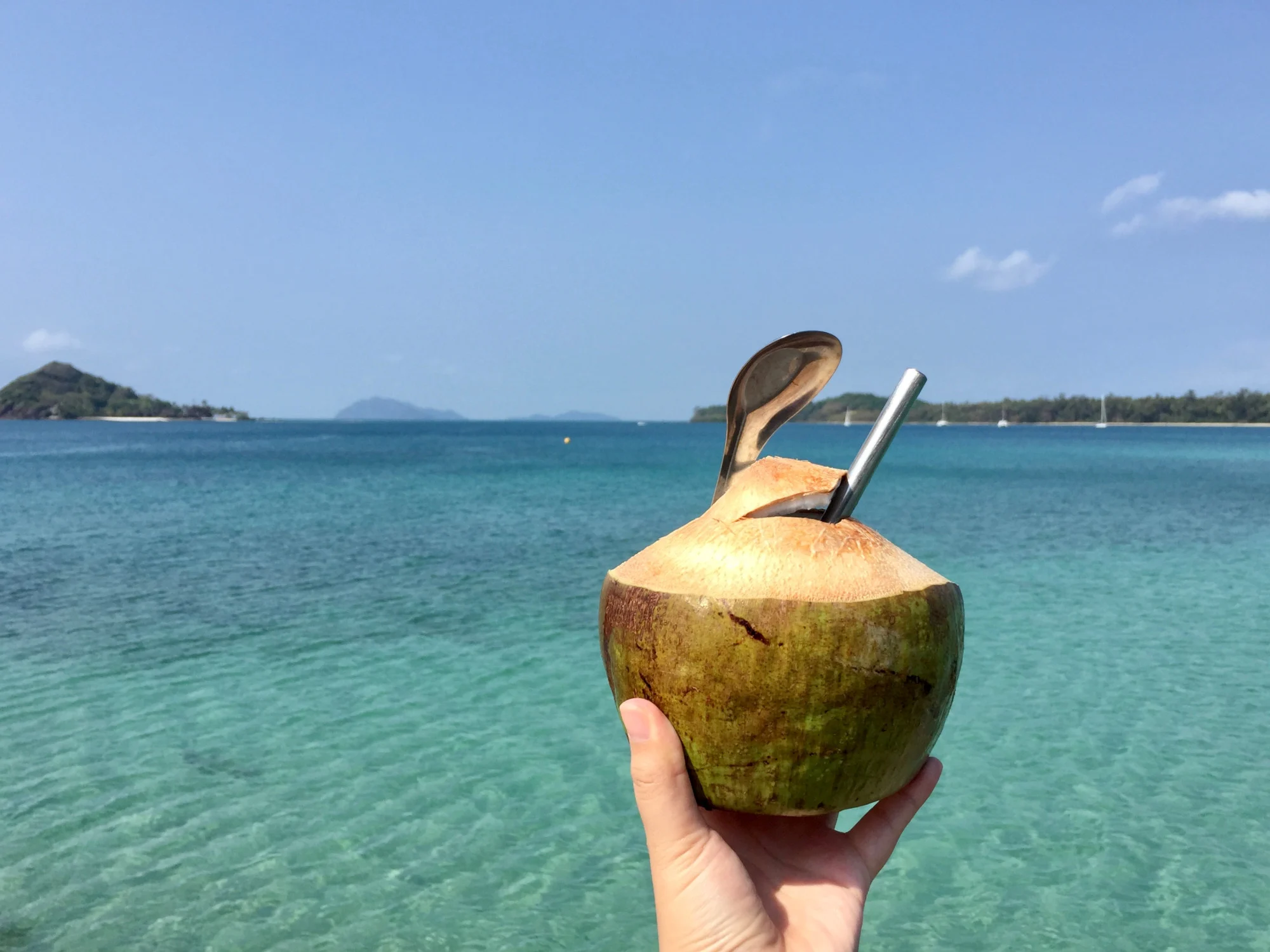 Uống nước dừa, bao gồm cả cùi dừa, để giảm ngứa da.