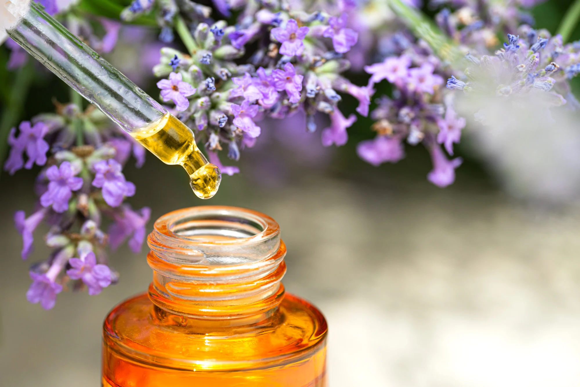 Các loại tinh dầu như hoa oải hương được sử dụng vì những lợi ích của chúng đối với cảm xúc và  ...