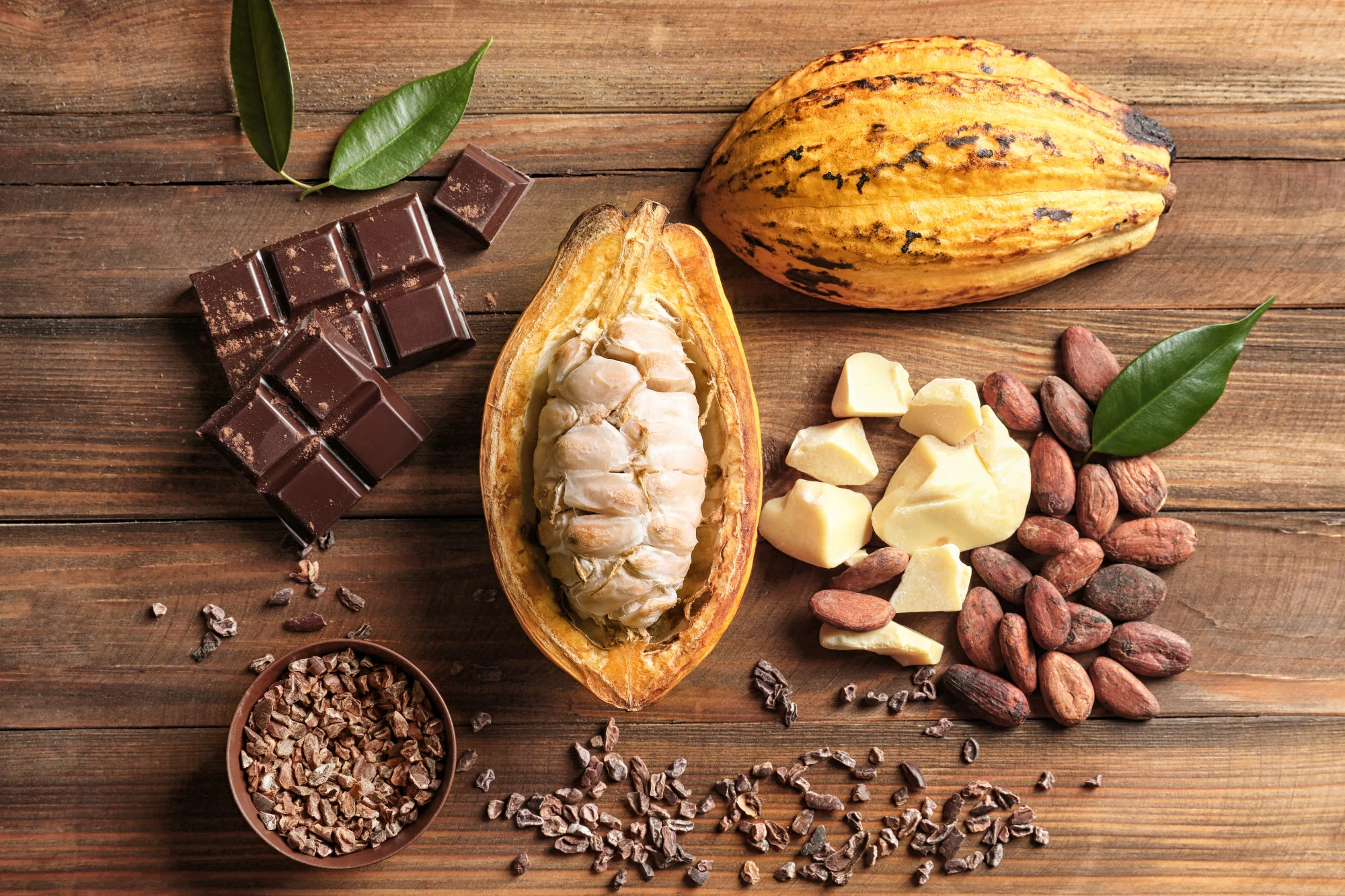 Vỏ cacao chứa các hạt đậu được chế biến thành ngòi và cacao hoặc chất béo cacao, được sử dụng ...