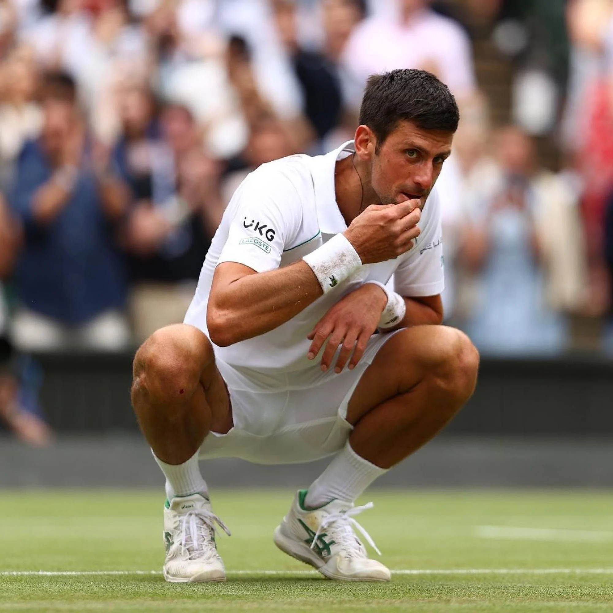 Novak Djokovic ăn cỏ trên sân Trung tâm của Wimbledon, giờ đã trở thành một truyền thống kỳ đối ...