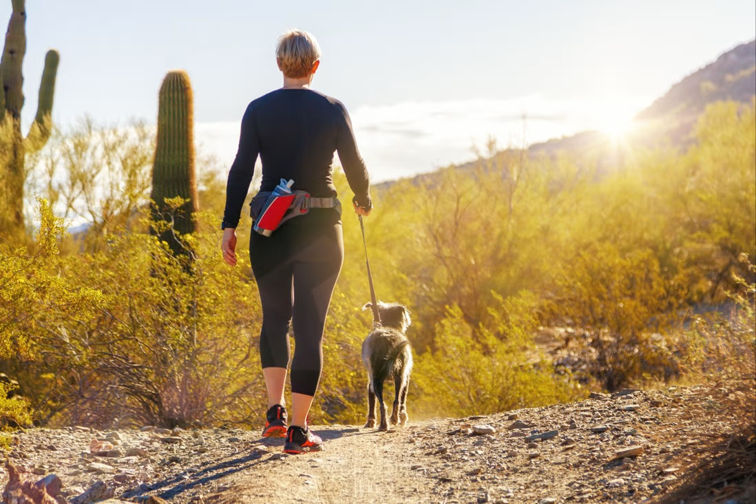 Đi bộ có thể giúp bạn sống lâu hơn: 7.000 bước mỗi ngày là đủ để giảm nguy cơ tử vong và chứng ...