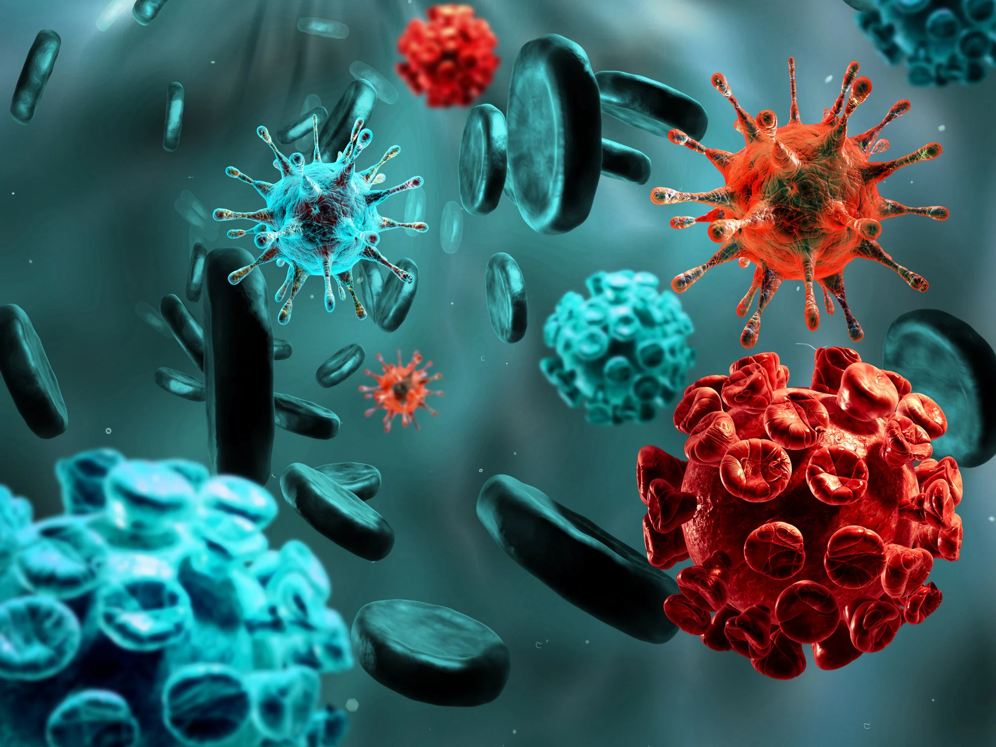 Một minh họa 3D về các tế bào vi rút và vi khuẩn lây nhiễm vào cơ thể con người. 