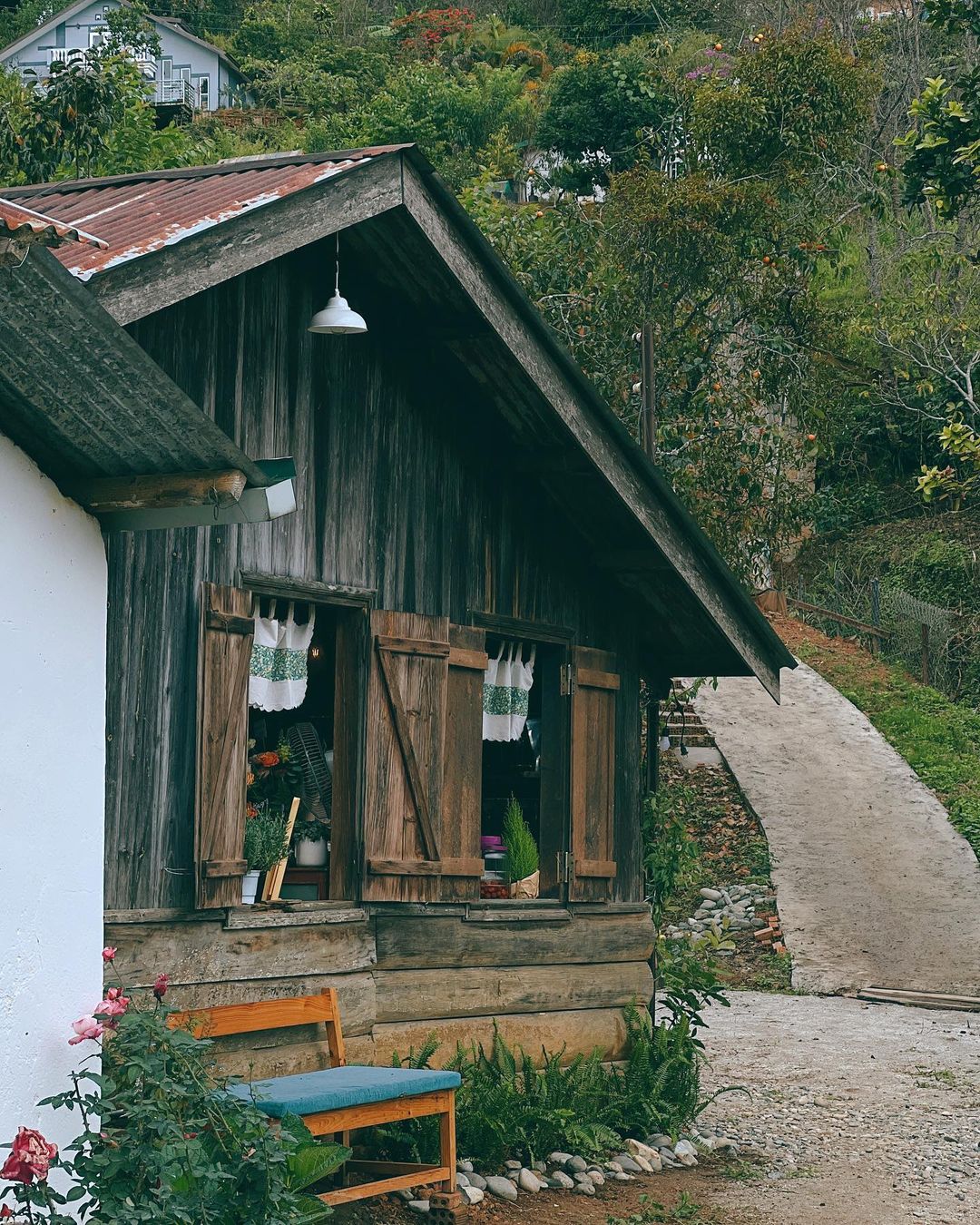 Cây Cam Ngọt - Căn nhà gỗ thơ mộng dưới con dốc ở Đà Lạt